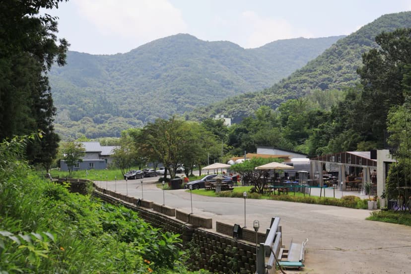 선인장 사진 13