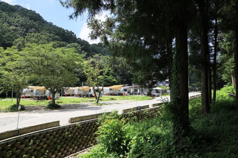 선인장 사진 20