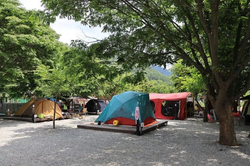 자연과함께 펜션캠핑장 사진 3