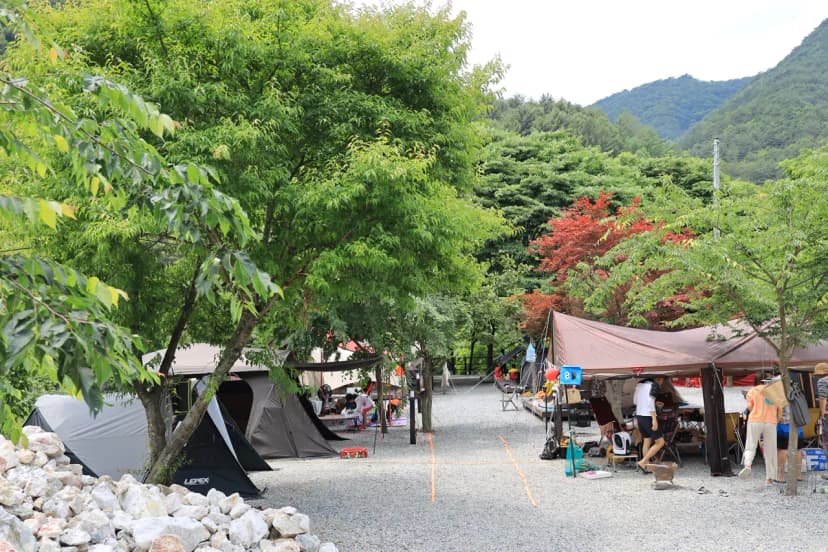 자연과함께 펜션캠핑장 사진 13