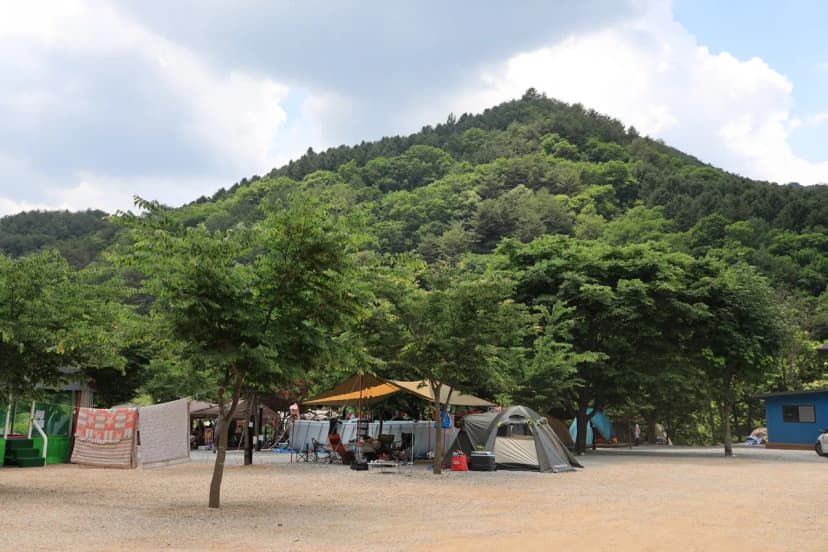 자연과함께 펜션캠핑장 사진 14