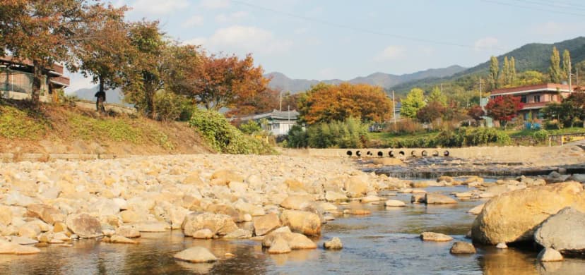 소나무 풍경 펜션 야영장 사진 6