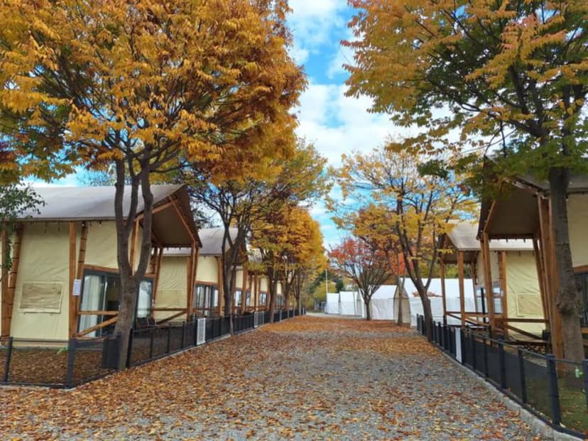 하이몽글램핑&캠핑장 사진 3