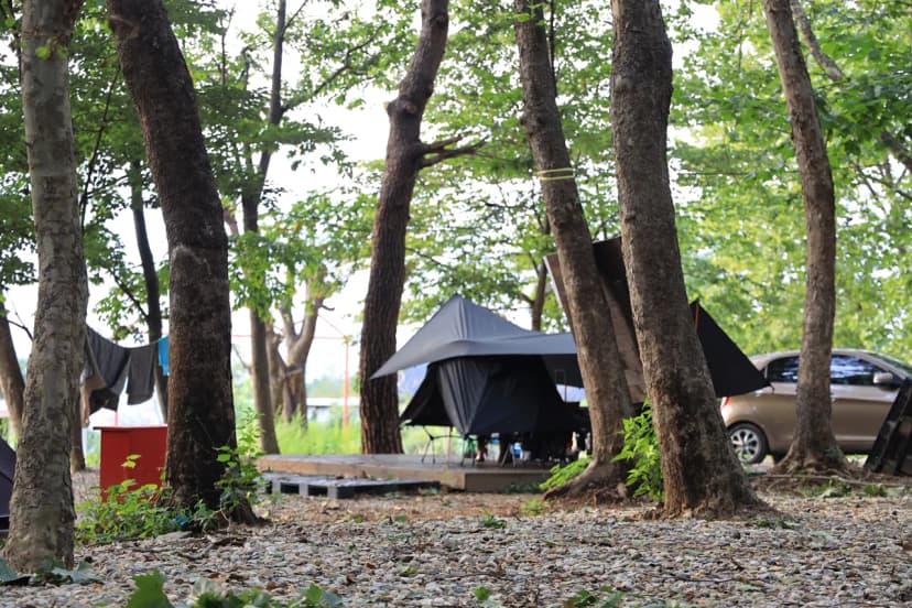 하남 야영장 사진 7