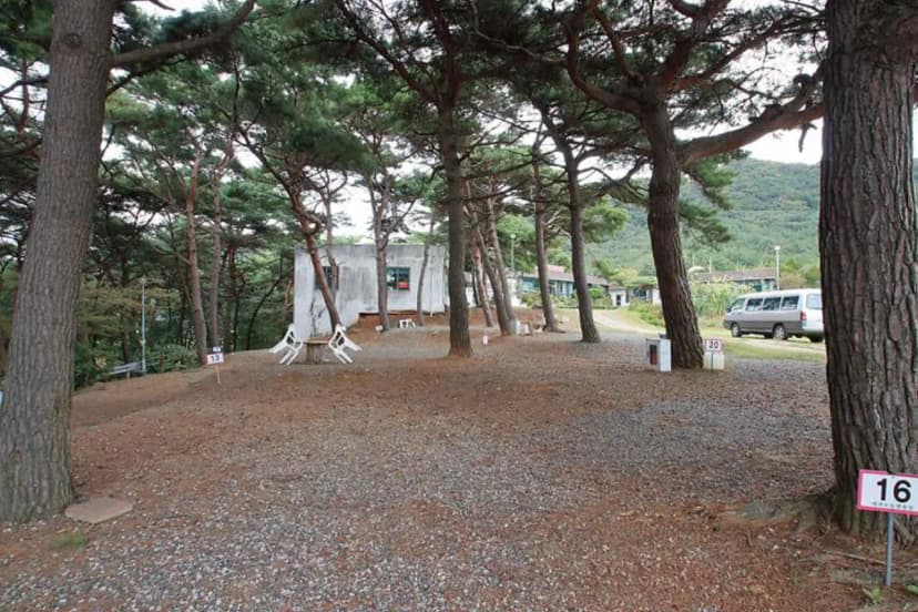상양관광농원 사진 4