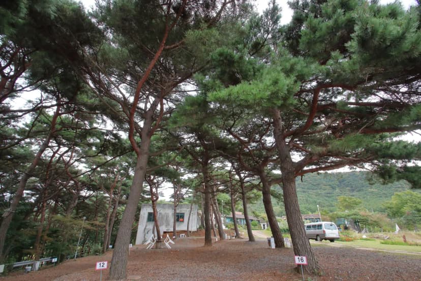 상양관광농원 사진 11
