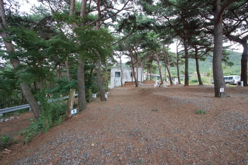상양관광농원 사진 12