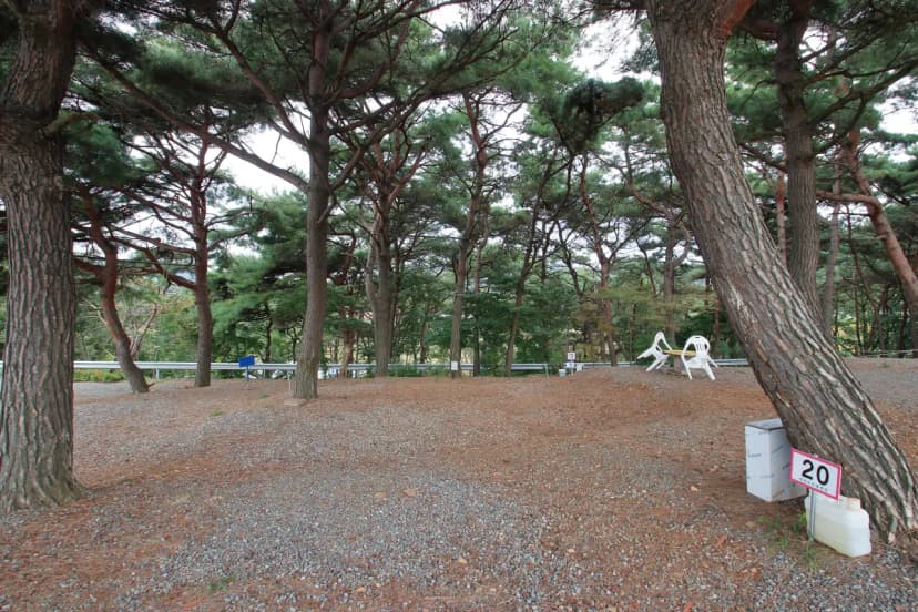상양관광농원 사진 14