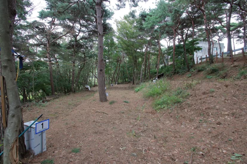 상양관광농원 사진 15