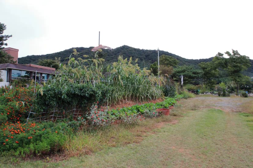 상양관광농원 사진 17