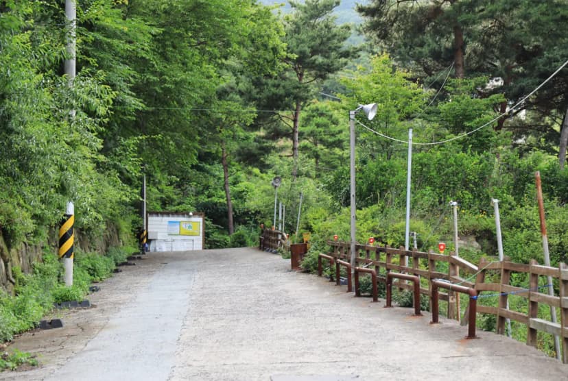 더캠프 사진 4