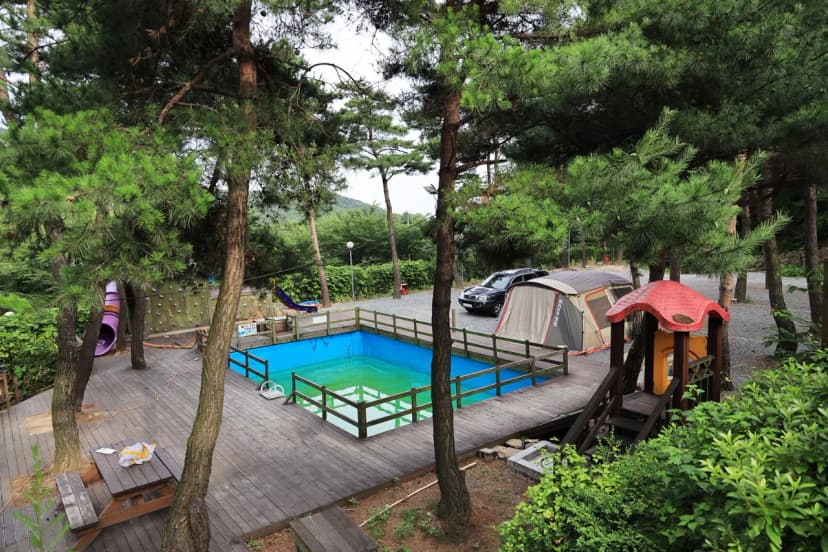 더캠프 사진 14