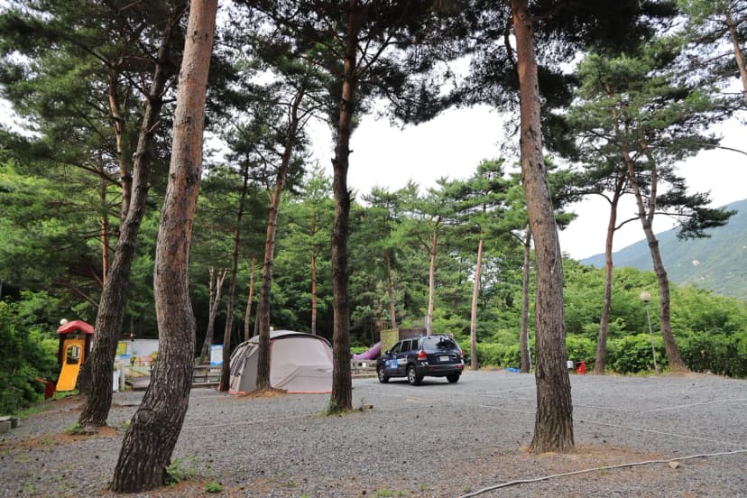 더캠프 사진 19