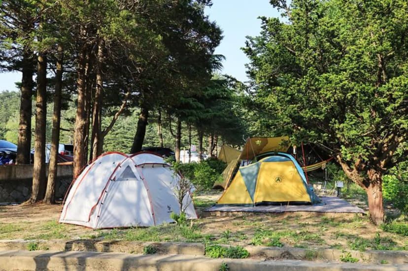 보광농촌체험휴양마을 사진 3