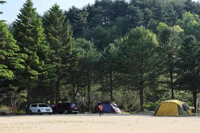 보광농촌체험휴양마을 사진 11