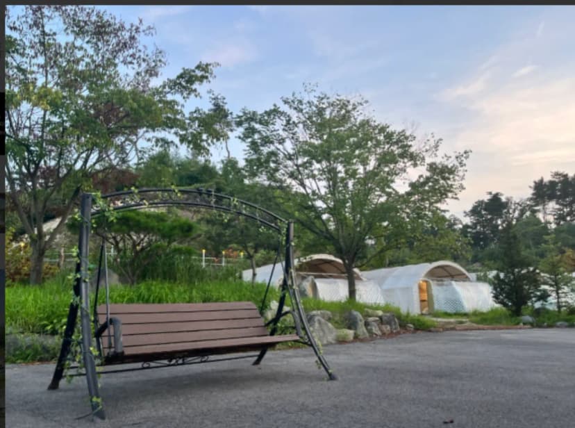 포천두꺼비 사진 12