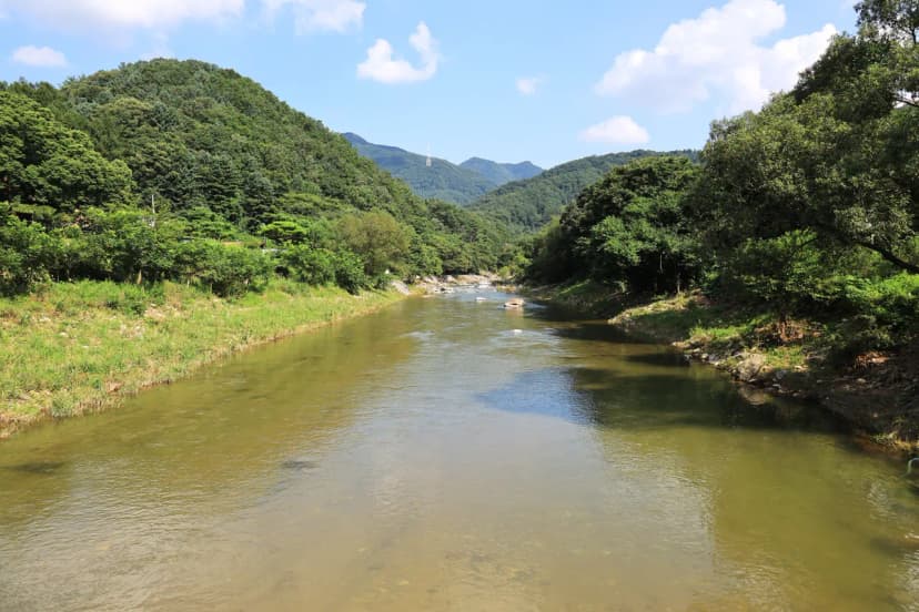 노산팔경 캠핑장 사진 21