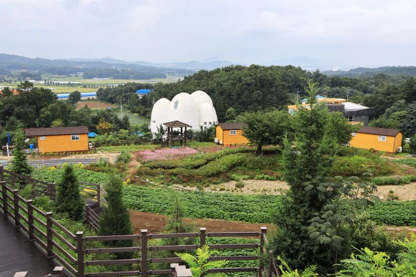 이천농업테마공원 국민여가캠핑장 사진 4