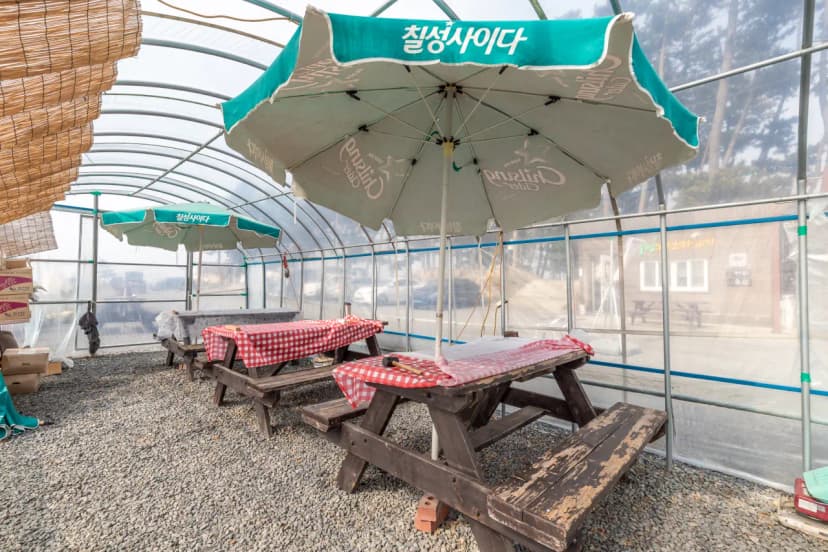 대천용두야영장 사진 7