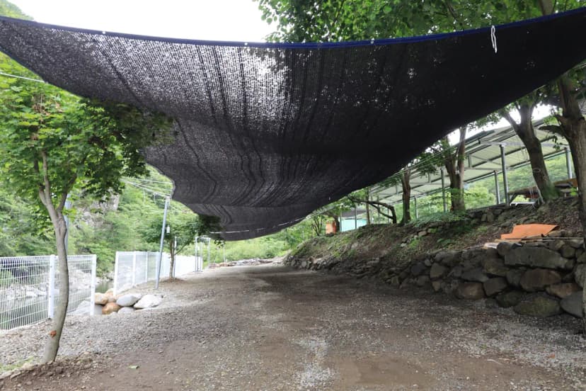 할매야영장 사진 5