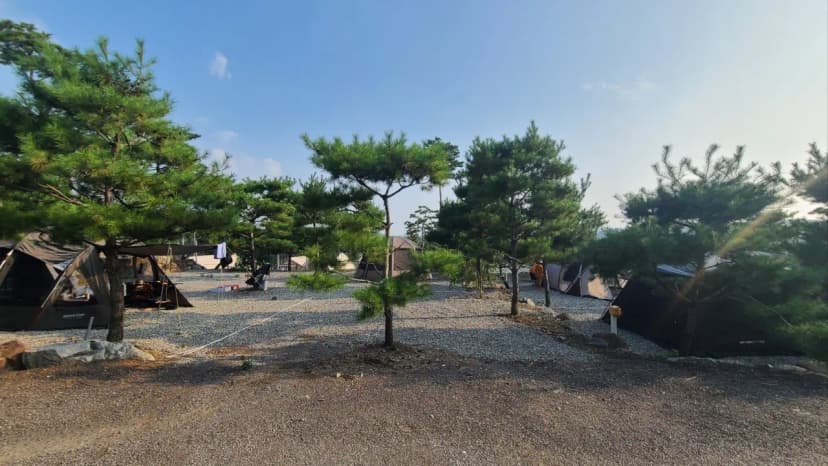 벨루아 캠핑장