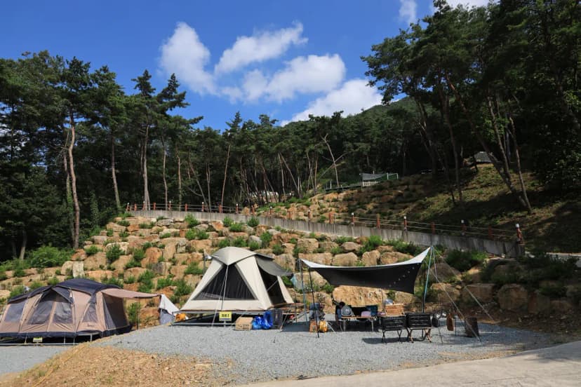 캠핑in곡성 사진 9