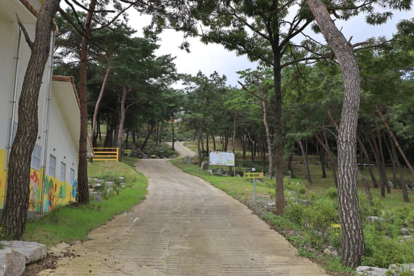 장성잔디로야영장 사진 11