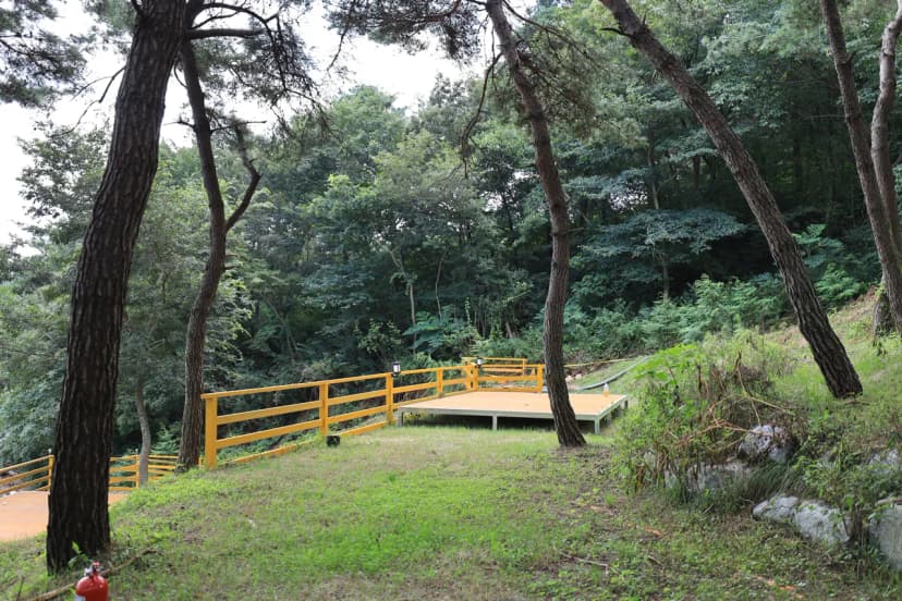 장성잔디로야영장 사진 16