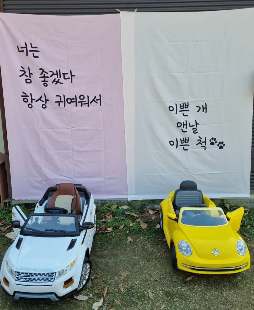 루파니애견캠핑장 사진 10