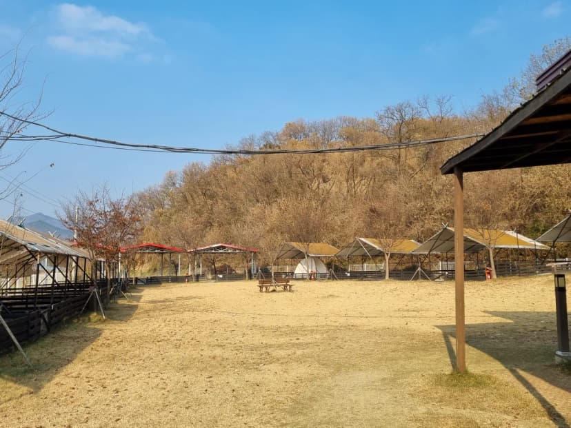 루파니애견캠핑장 사진 11