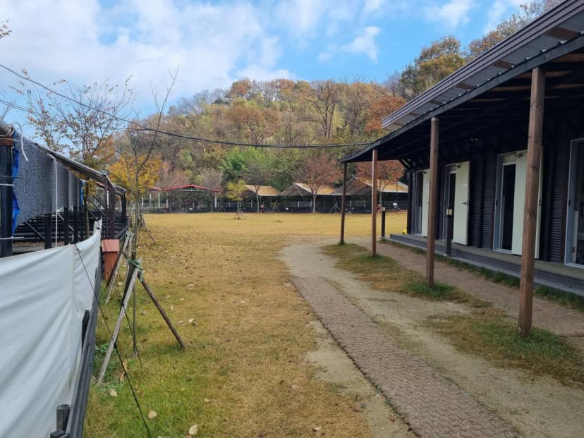 루파니애견캠핑장 사진 13