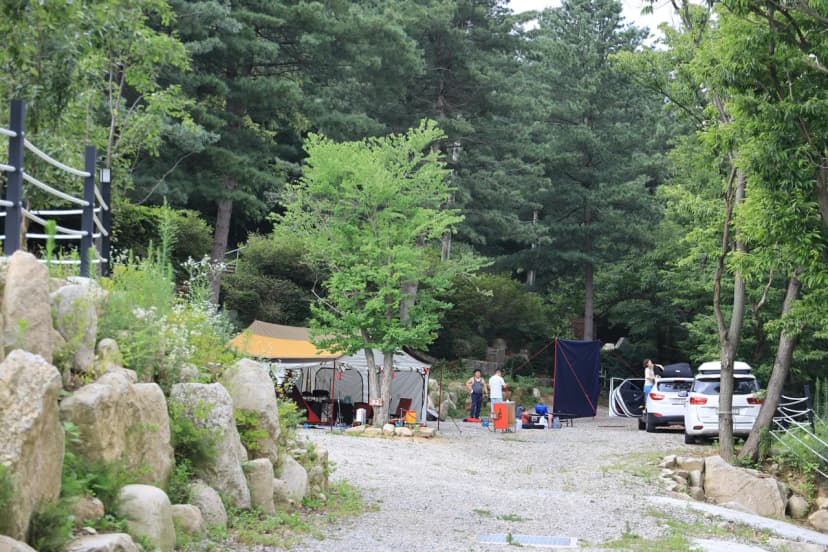 휴랜드관광농원 사진 20