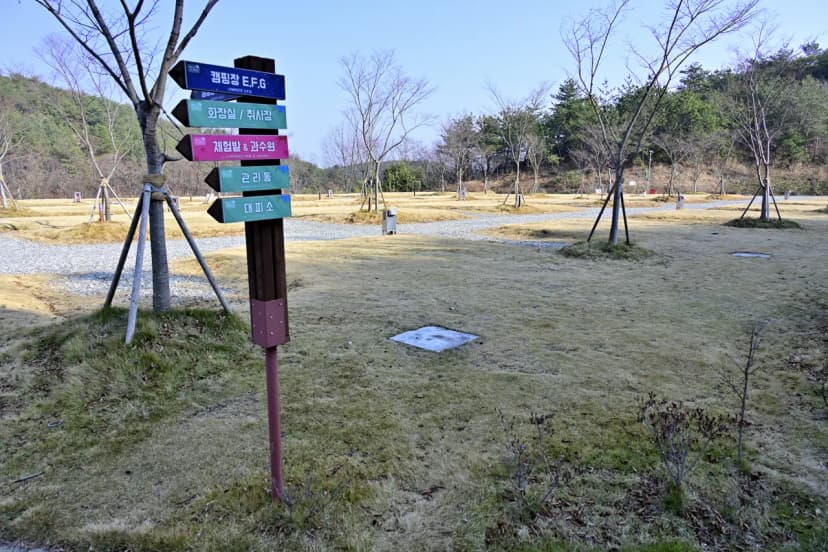 블루베리관광농원 베리굿 오토캠핑장 사진 8