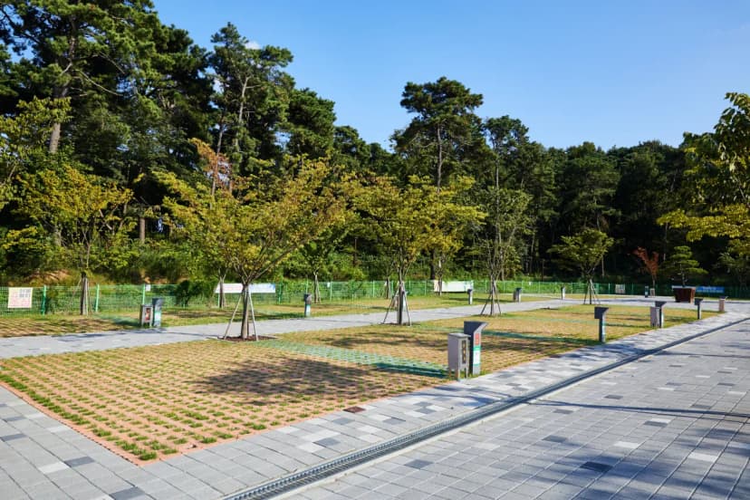 내리 캠핑장 사진 8