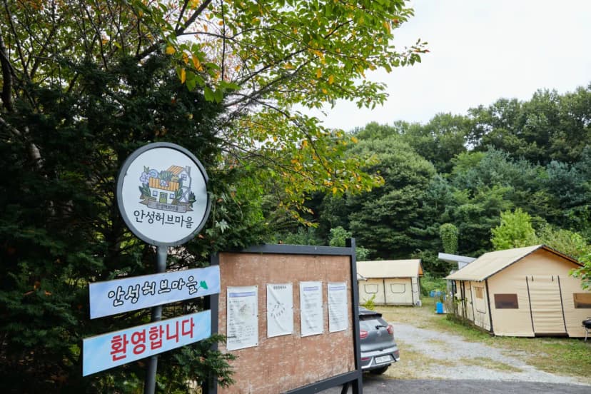 안성허브마을캠핑장 사진 3