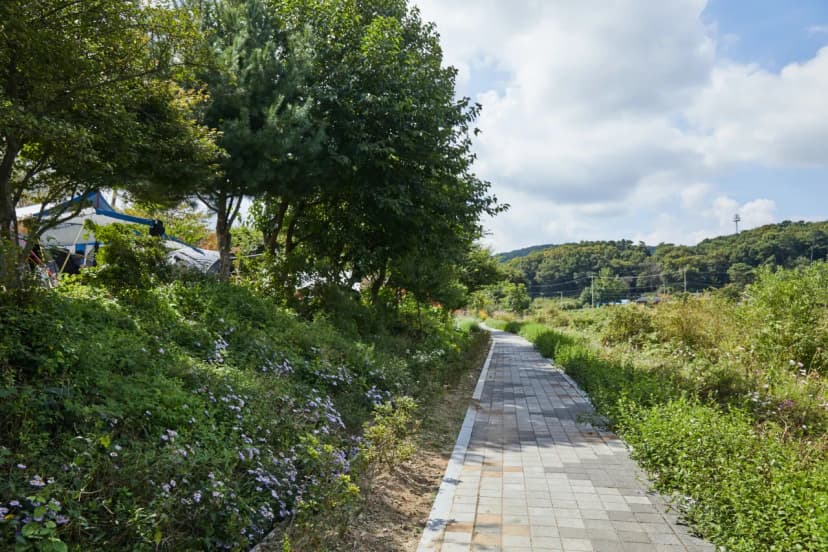 용설호수캠핑장 사진 5