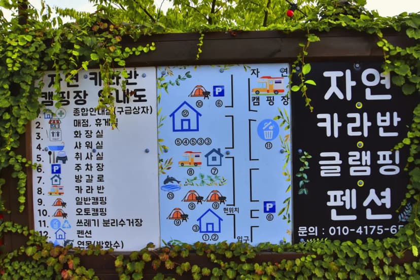 청도텍사스 캠핑장 사진 14