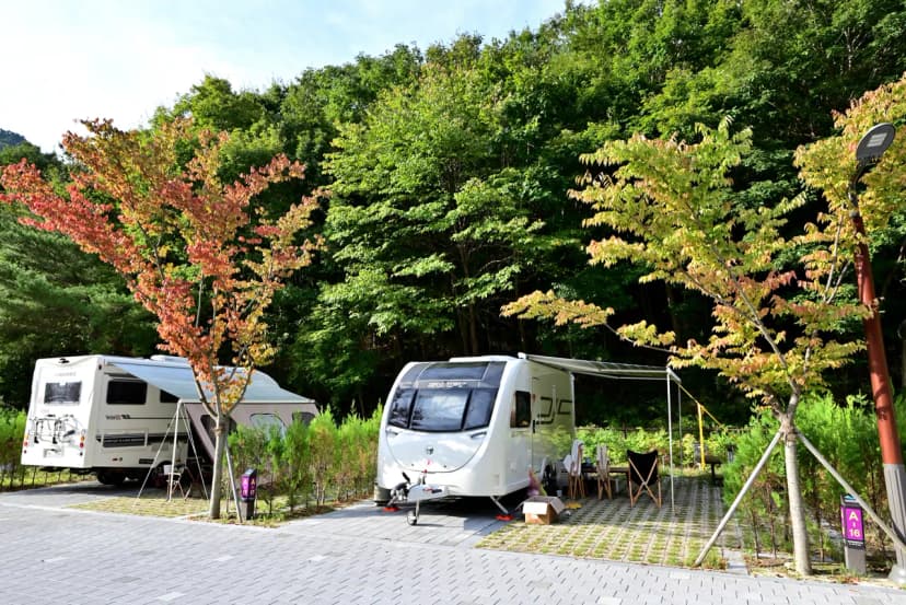 학천야영장 사진 20