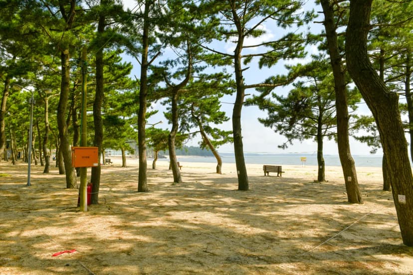 연포제1야영장 사진 18