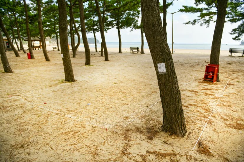 연포제1야영장 사진 20