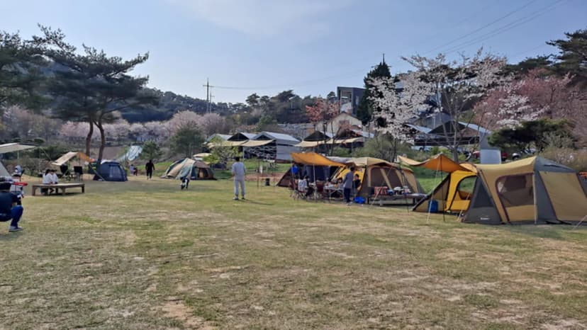 세울터 오토캠핑장 & 펜션 사진 2