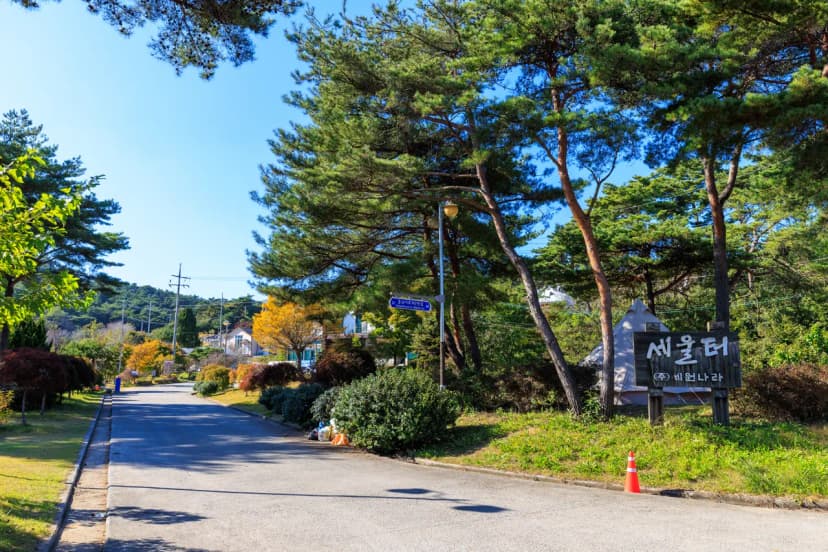 세울터 오토캠핑장 & 펜션 사진 6
