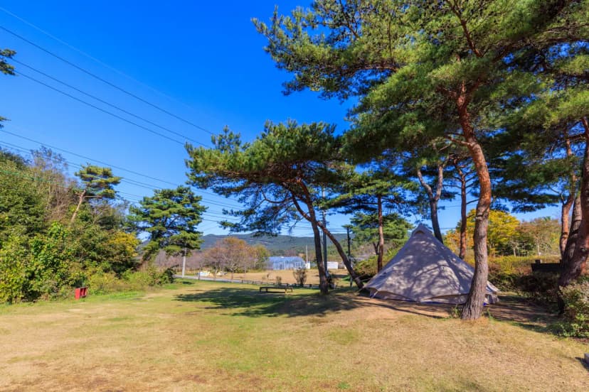 세울터 오토캠핑장 & 펜션 사진 13