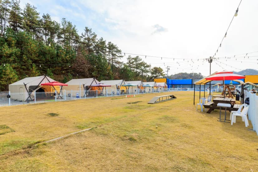 멍글멍글 펫 글램핑(주) 사진 8