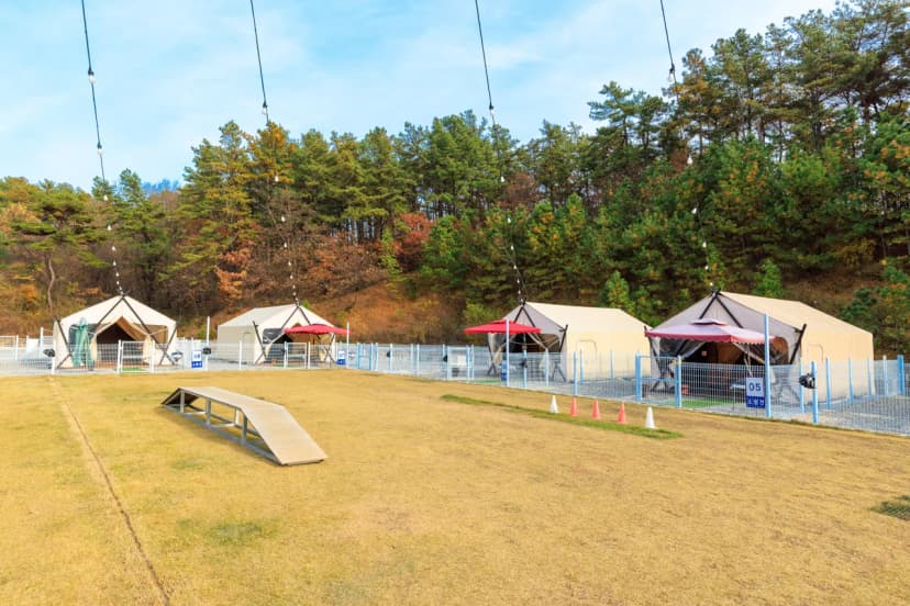 멍글멍글 펫 글램핑(주) 사진 9