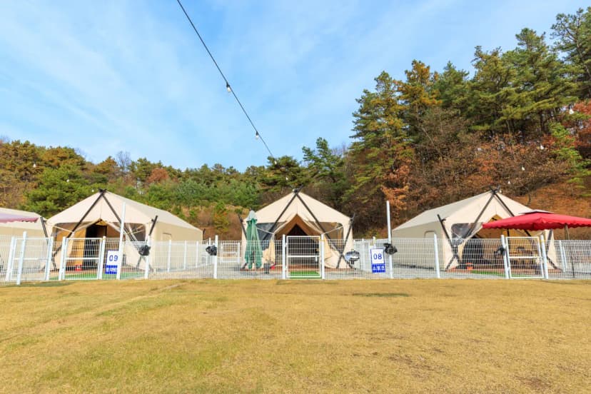 멍글멍글 펫 글램핑(주) 사진 10