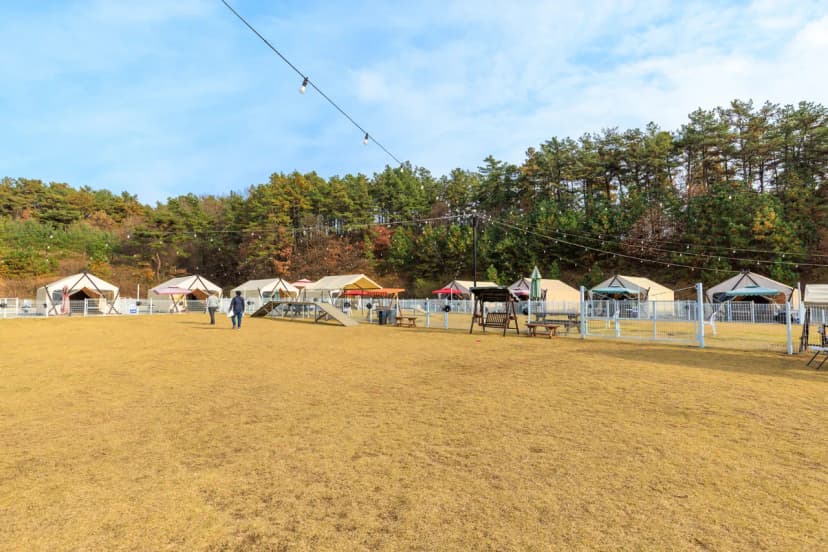 멍글멍글 펫 글램핑(주) 사진 11