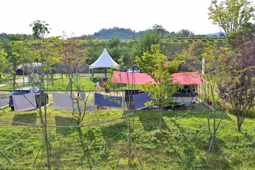 보성강 용정권역 어울마당 야영장 사진 17