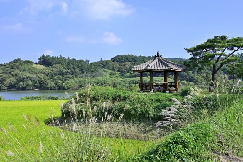 보성강 용정권역 어울마당 야영장 사진 19