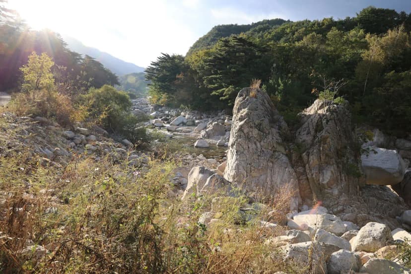양양오색 휴랜드 야영장 사진 4